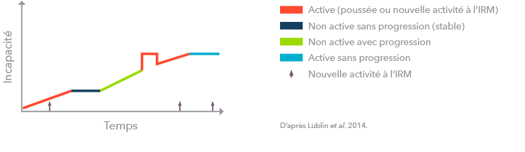 PPMS infographic (adapted from Lublin et al., 2014)