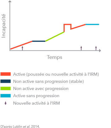 PPMS infographic (adapted from Lublin et al., 2014)